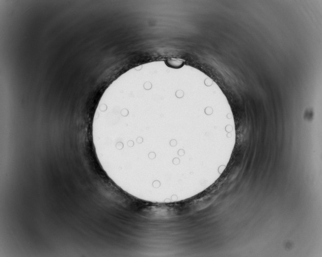 X0000103440464200810241125