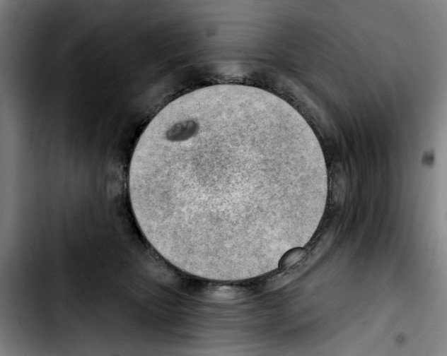 X0000103440467200810241125