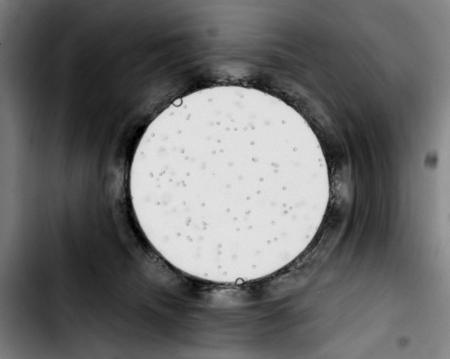 X0000103440468200810241125