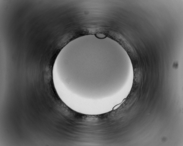 X0000103440471200810241125