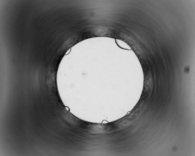 X0000103440473200810241125