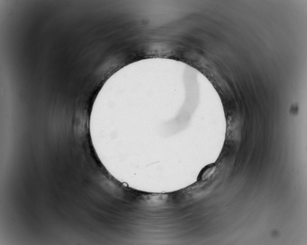 X0000103440474200810241125