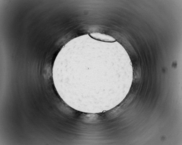 X0000103440478200810241125