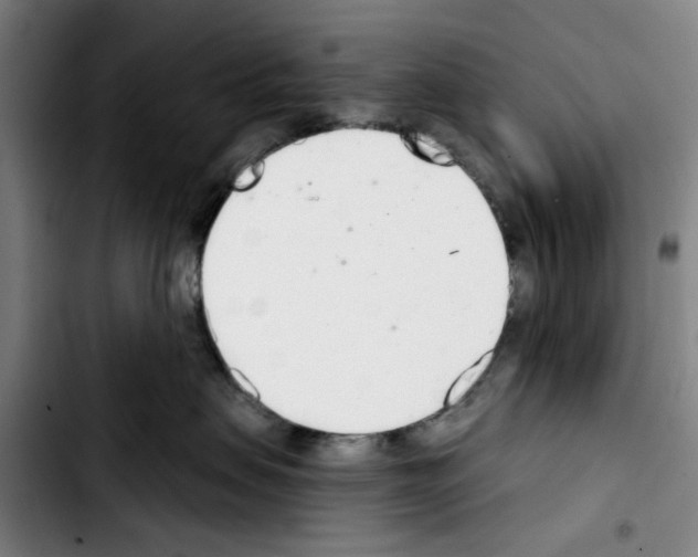 X0000103440479200810241125
