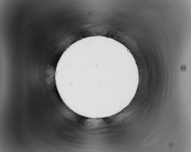 X0000103440480200810241125