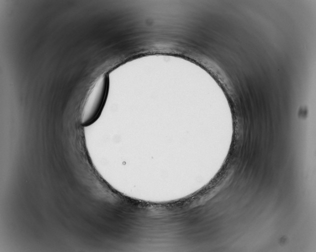 X0000103440481200810241125