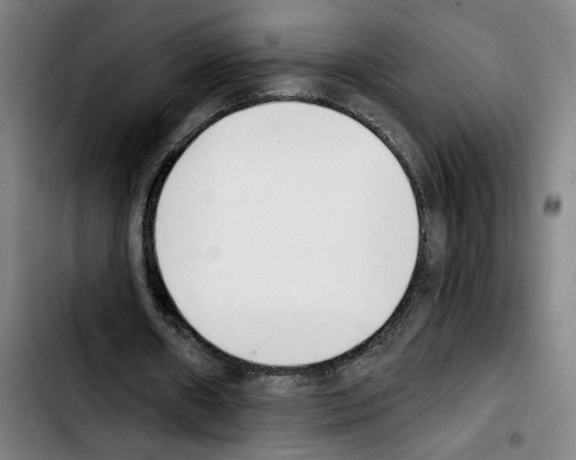 X0000103440482200810241125