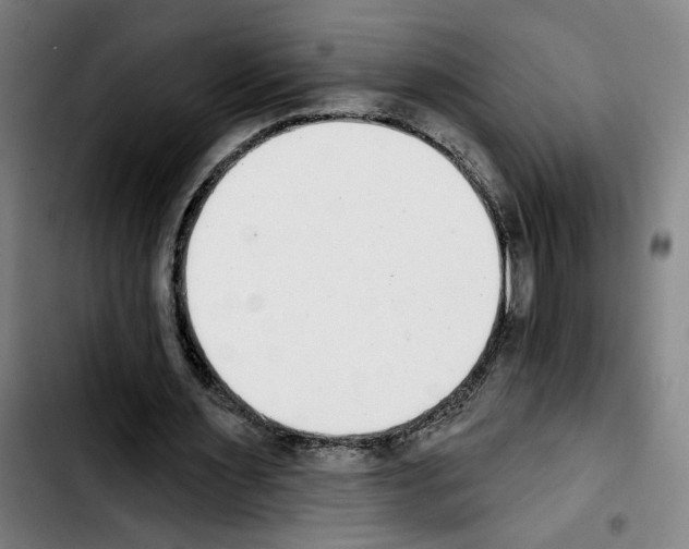 X0000103440483200810241125