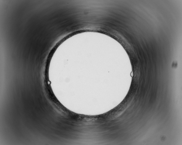 X0000103440484200810241125