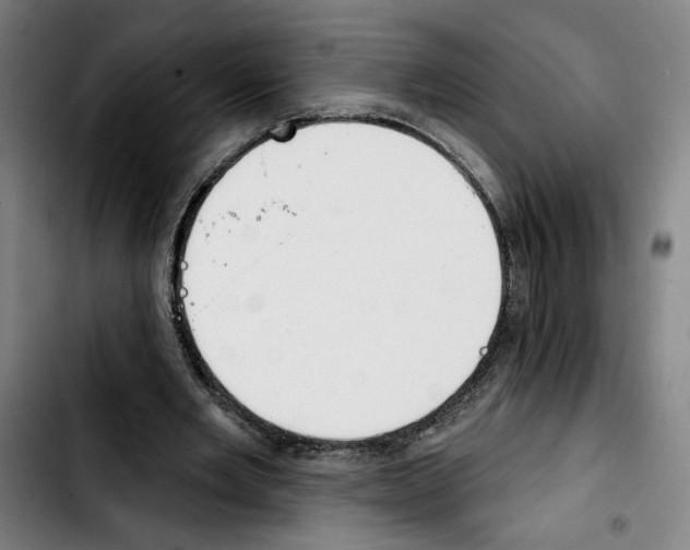 X0000103440485200810241125
