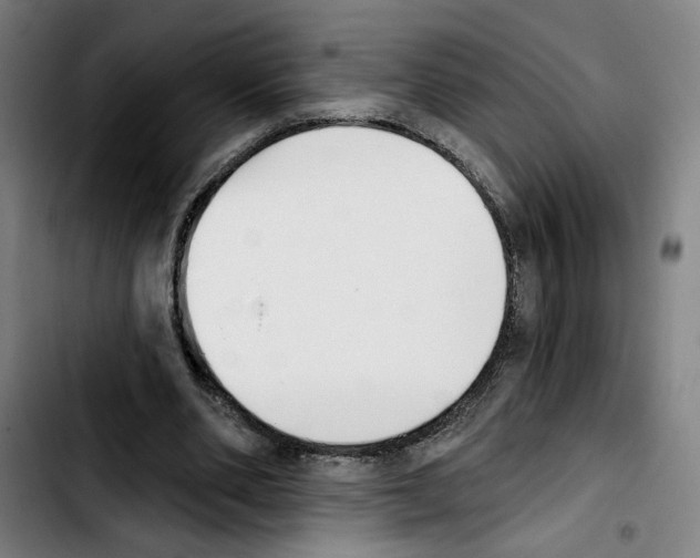 X0000103440486200810241125