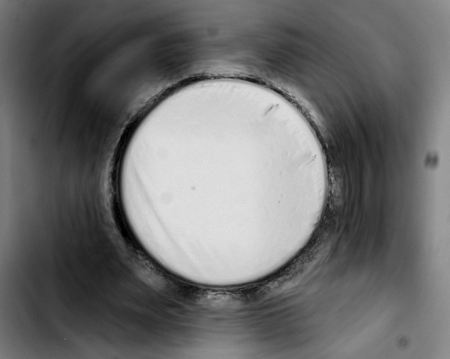 X0000103440487200810241125