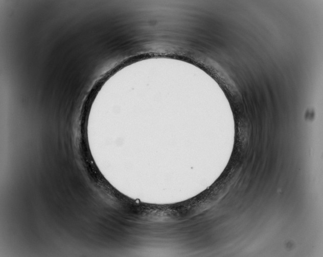 X0000103440488200810241125