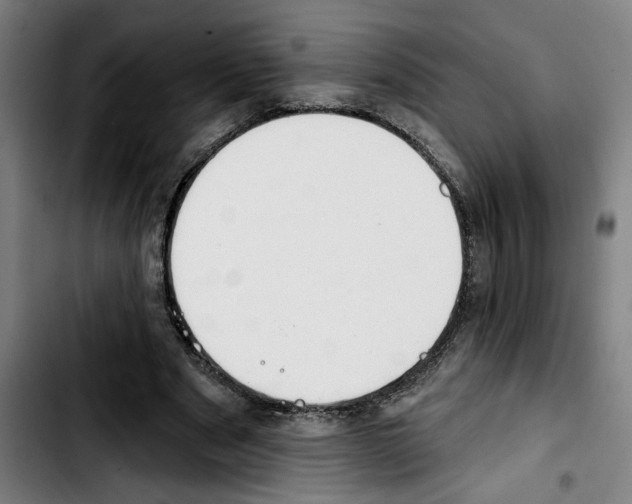 X0000103440489200810241125