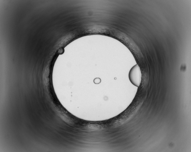 X0000103440490200810241125