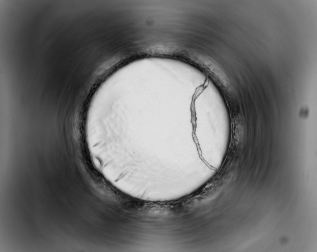X0000103440491200810241125