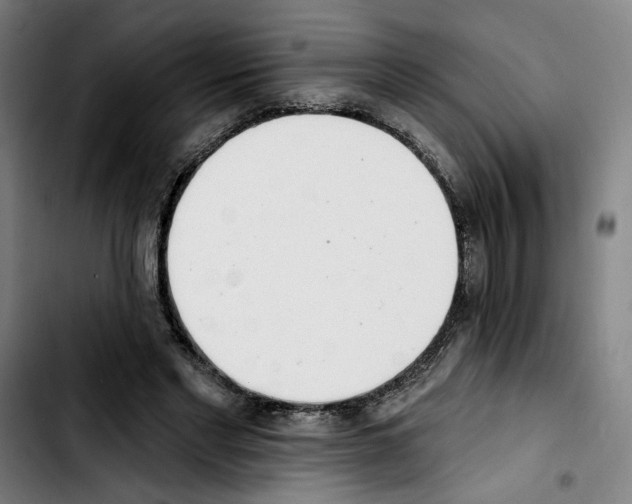 X0000103440493200810241125
