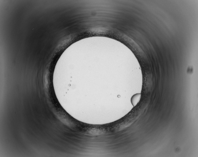 X0000103440494200810241125
