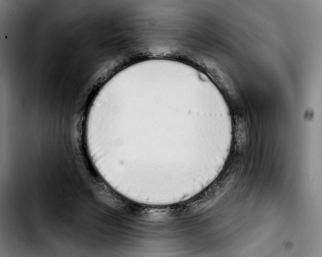 X0000103440495200810241125
