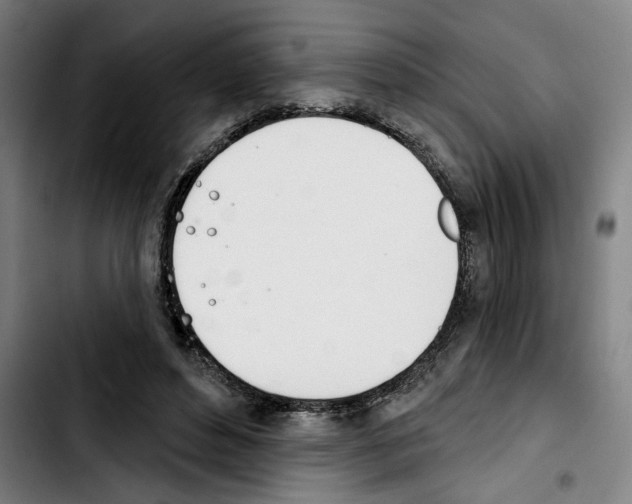 X0000103440496200810241125