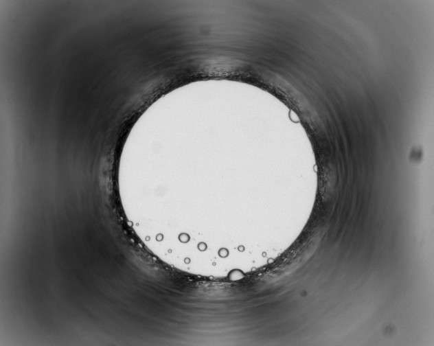 X0000103440497200810241125