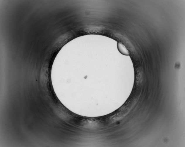 X0000103440498200810241124