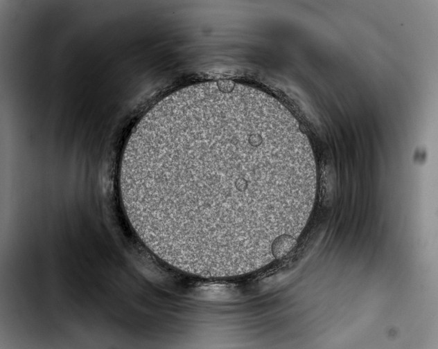 X0000103440499200810241124