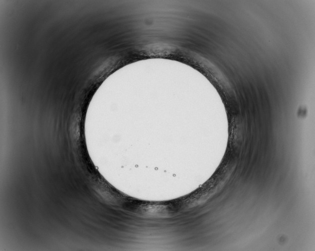 X0000103440501200810241124