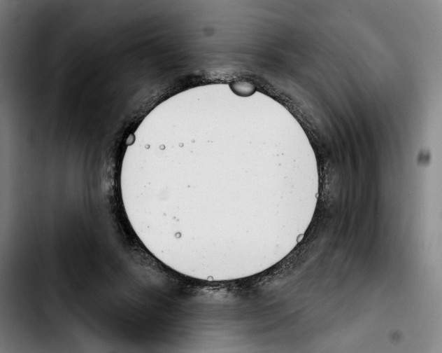 X0000103440502200810241124