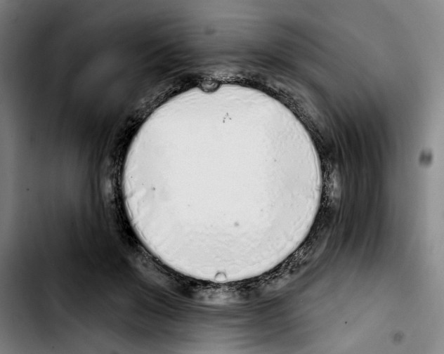 X0000103440503200810241124