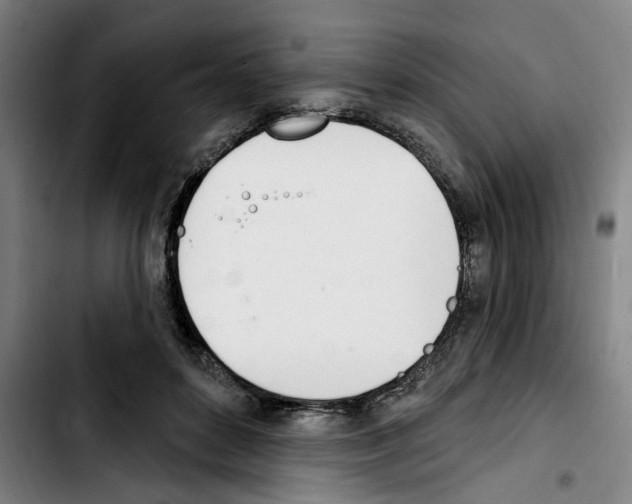 X0000103440504200810241124