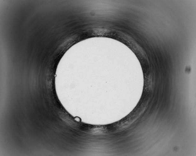 X0000103440505200810241124