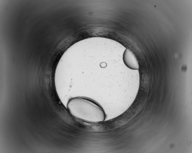 X0000103440506200810241124