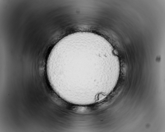 X0000103440507200810241124