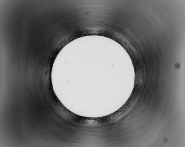 X0000103440509200810241124