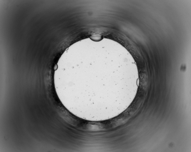X0000103440510200810241124