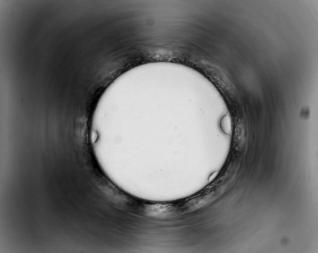 X0000103440511200810241124