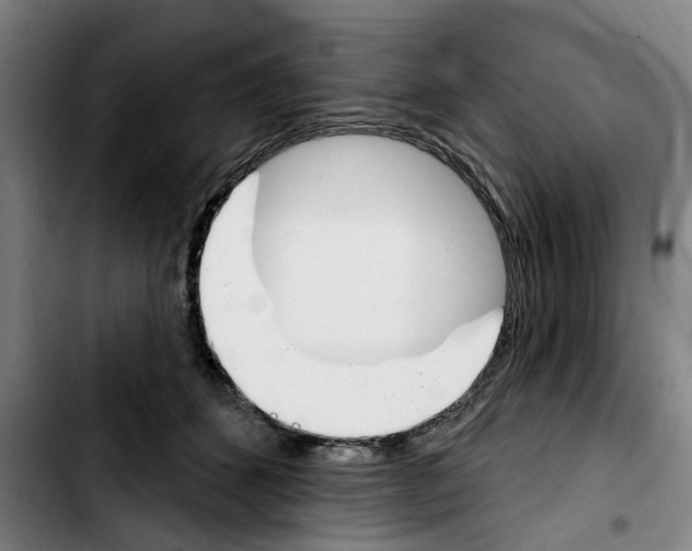 X0000103440512200810241124