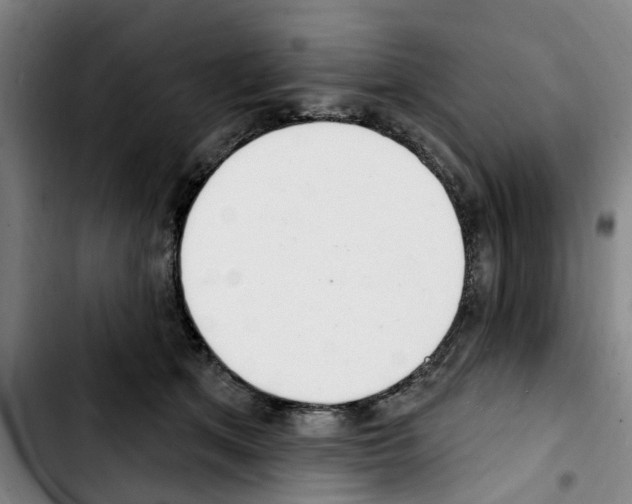X0000103440513200810241124