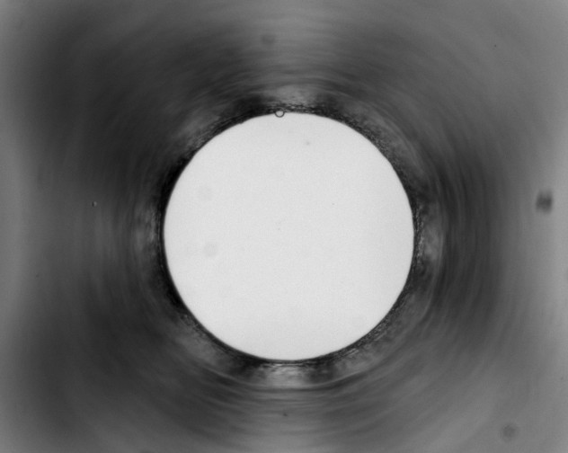 X0000103440518200810241124