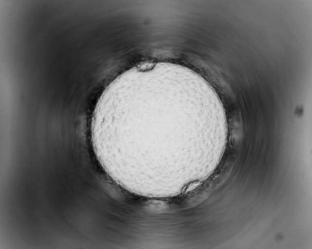 X0000103440519200810241124