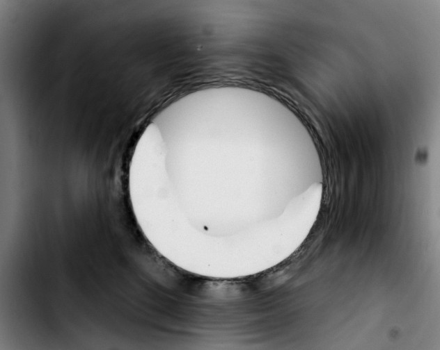 X0000103440520200810241124