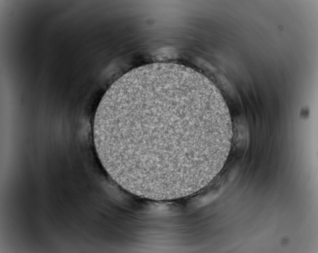 X0000103440523200810241124