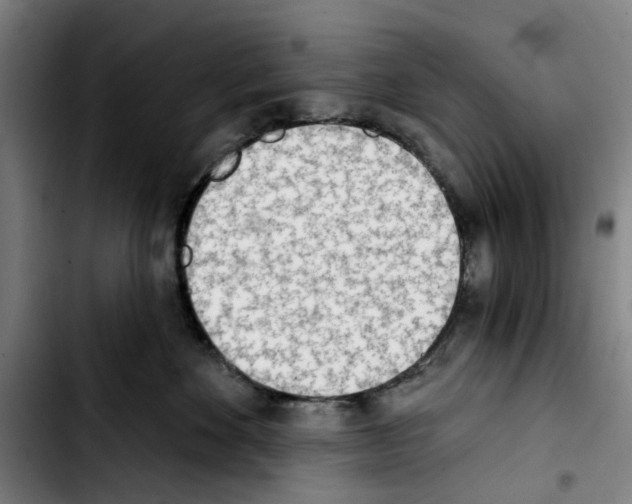 X0000103440524200810241124