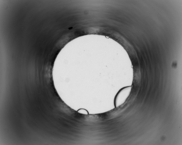 X0000103440525200810241124