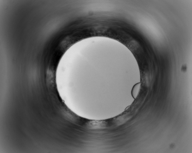 X0000103440526200810241124