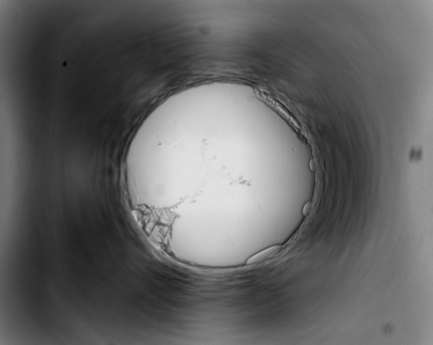 X0000103440528200810241124