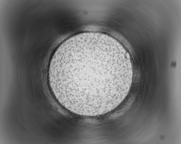 X0000103440529200810241123