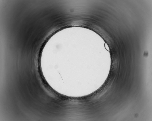 X0000103440530200810241123