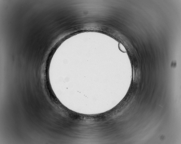 X0000103440531200810241123